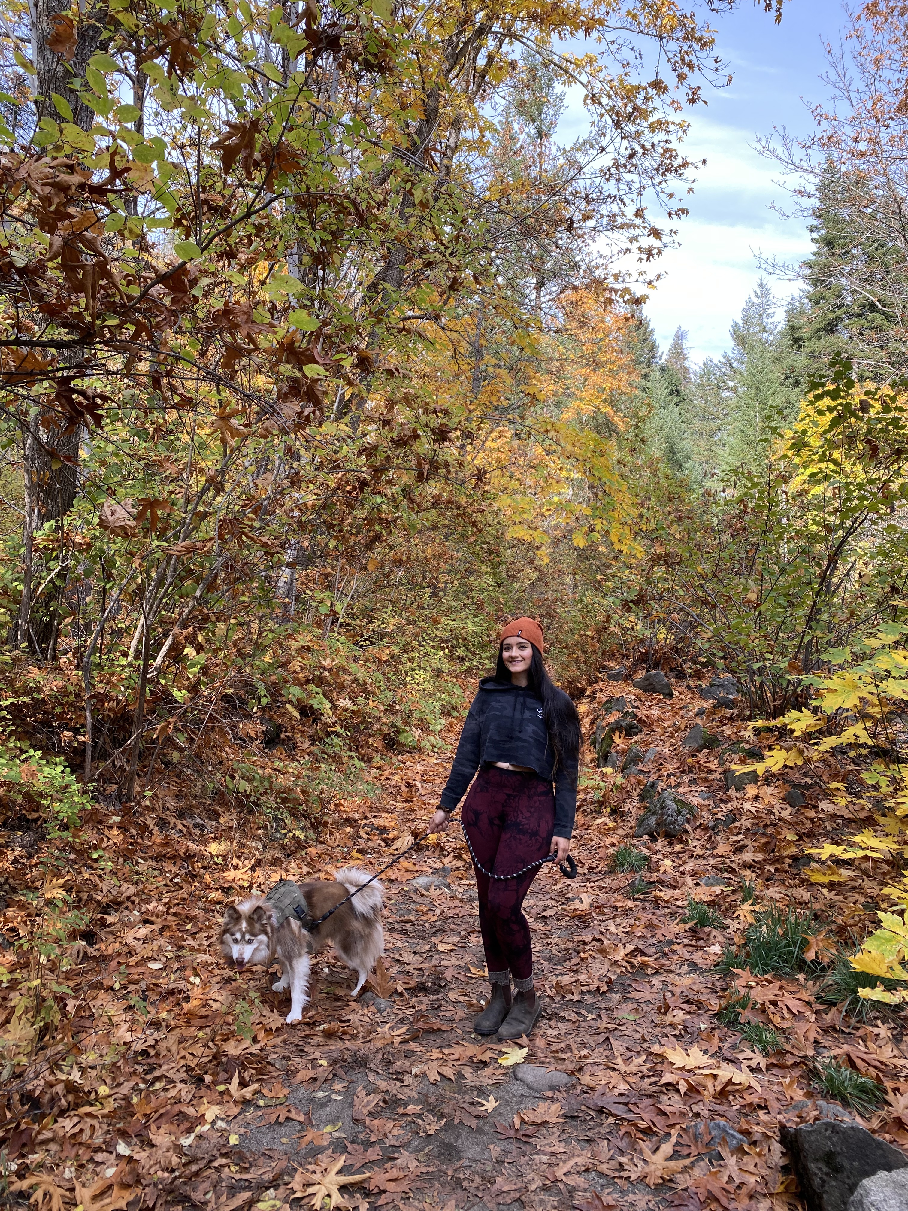 Enchanting Bavarian Village:  A Fall and Winter Wonderland in Leavenworth,Washington